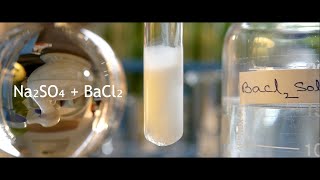 Double displacement of Na2SO4  BaCl2  Sodium sulphate  Barium chloride  Precipitation reaction [upl. by Malone]