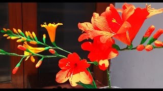 How to make Paper flowers Crocosmia  MontbretiaFlower  85 [upl. by Aztiley482]