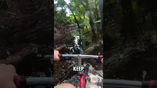 Average Florida bike trail basscity mountainbike floridaman bicycle mtbfail hurricane mtb [upl. by Kohl]