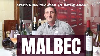 Essential Malbec Wine Facts Malbec Argentina vs France [upl. by Wrench]