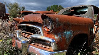 best classic car scrapyard in the southern Hemisphere Horopito motors smash palace speeding fine [upl. by Imas545]