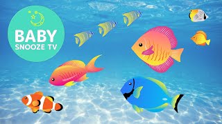 Soothing Fish Lullabies 🐟  Relaxing Lullaby Mix by Baby Snooze TV [upl. by Elleral]