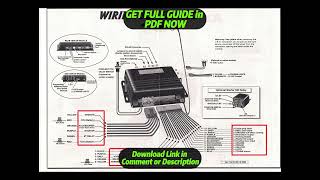 DIAGRAM Generic Car Alarm Wiring Diagram [upl. by Georgie]