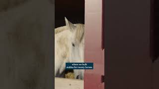 Why Chateau PontetCanet uses horses [upl. by Tarton686]