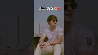 Amir bankr dikhaunga ❤️ youtube shortvideo song love status video sound views [upl. by Ynnaf]