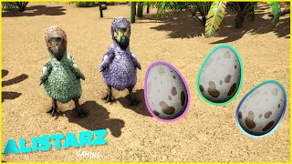 ARK SURVIVAL DODO GUIDE  Taming Mating amp Eggs [upl. by Nalehp566]