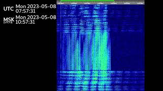 The BuzzerUVB764625Khz May 8th 2023 Voice messages [upl. by Dania393]