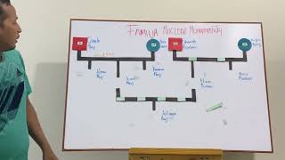 Familiograma de una familia nuclear monoparental [upl. by Rekoob]