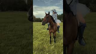 his song will be yours sooon💙⚔️🐴 newmusic horsesofyoutube horse fashion fypシ゚viral fyp viral [upl. by Aonehc]