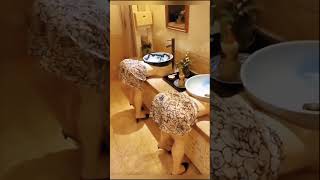 Exposed Basin homedecor basin trending funny creative viral girl ytshorts tiktok laugh [upl. by Atirat]