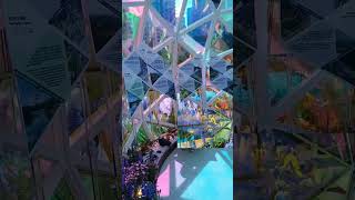 flower show victoriapark flowers youtubeshorts [upl. by Htirehc]