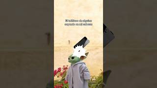 Le importaba más tener la razón 😭😂 créditosIB devdaria humor meme babyyoda caida [upl. by Attener872]