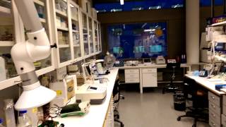 Proteomics Unit and Plant Genomics Lab at Institute of Biotechnology University of Helsinki [upl. by Jackson]