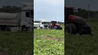 Kurtarma operasyonu 🥰🥰🫡🫡CASE IH OPTUM 300viral shorts shortvideo viralvideo keşfet farmer [upl. by Yalonda115]