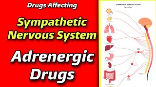 Drugs Affecting Sympathetic Nervous system  Adrenergic receptors amp its Drugs  Explained by Tutor [upl. by Korfonta]