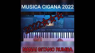 rumba portuguesa nanai gitano 2022 nova música cigana mexida [upl. by Reniti]