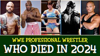 Professional Wrestler Who Sadly Passed Away In 2024 [upl. by Graig246]