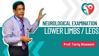 Lower Limbs  Neurological Examination by ProfTariqWaseem medical nerves doctor education [upl. by Nelg137]