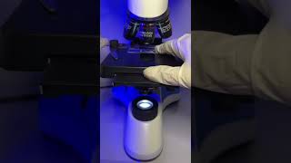 Apple wax in microscope😱🤮satisfyingshorts shortsfeed facts trending viralvideo youtubeshorts [upl. by Tihom]