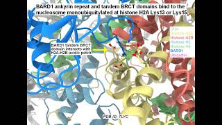 CryoElectron Microscopy helps Mayo Clinic Scientists Advance Cancer Research [upl. by Hemphill211]