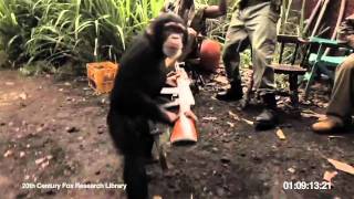 Monkey vs African Soldiers [upl. by Enilemme351]