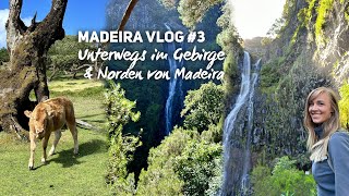 Madeira Vlog 3 Levada das 25 Fontes Fanal und die Nordküste von Madeira [upl. by Brunn]