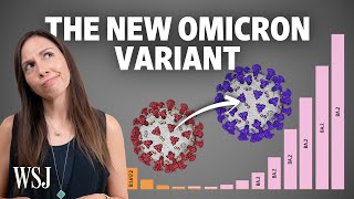 BA2 Omicron What to Know About the New Covid Variant [upl. by Aitselec7]