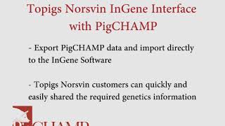 PigCHAMP amp Topigs Norsvin InGene Interface [upl. by Tecla]