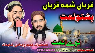 zama Da Zrr qarara Pashto naat by Khubaib Rohani And Suliman  Al Madina Studio [upl. by Limay]