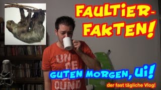 Fakten über Faultiere  vlog [upl. by Sirod823]