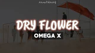 OMEGA X Dry Flower Easy Lyrics  Eng Sub [upl. by Nicolau]