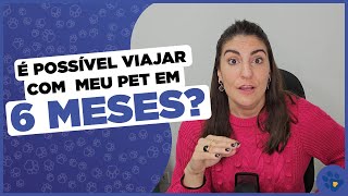 Como faço para viajar com meu Pet em 6 meses   PETFriendly [upl. by Luane]