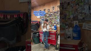 Us Horse owners are so grateful to the farriers of the world horses farrier horsecare comedy [upl. by Nnaj]