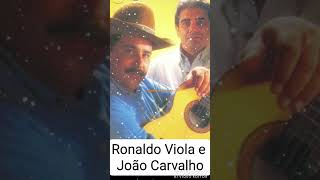 Ronaldo Viola e João Carvalho RonaldoViolaeJoãoCarvalho modãosertanejo TiãoCarreiroEPardinho [upl. by Enaamuj]