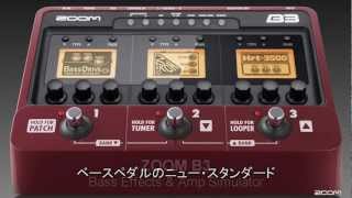 B3 Bass Effects amp Amp Simulator [upl. by Ahseina]