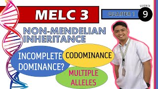 NonMendelian Patterns of Inheritance  Week 5  SCIENCE 9  QUARTER 1 MELC 3 [upl. by Gherardi856]