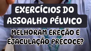 Exercícios do assoalho pélvico para ereção e ejaculação precoce  o que temos de evidências [upl. by Ahsoyek16]