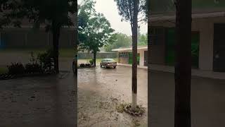 Rain 🌨️ umarsubhanullahkhan shorts youtubeshorts viral [upl. by Nat665]