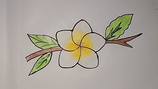 Easy flower Frangipani  Plumeria Drawing🌼 [upl. by Symer99]