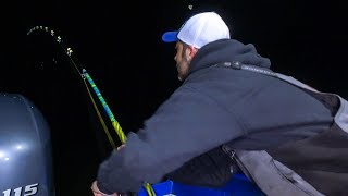 Night FISHING for CATFISH  INSANE Action [upl. by Anstus]