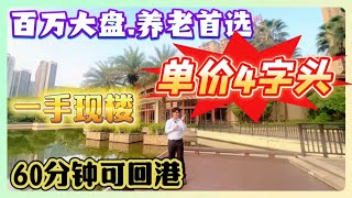 雅居樂花園一手现房丨即买即收楼丨单价4680平方丨0️⃣首付丨月供2千直接上车丨配套成熟丨巴士直达沙田地铁站丨惠州惠阳 惠陽高鐵 筍盤 [upl. by Ronni508]