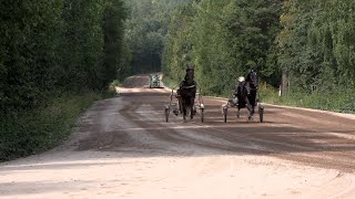 240823 Bergsåker TV GS75 och bekanta ansikten från Wolmsta [upl. by Eijneb]