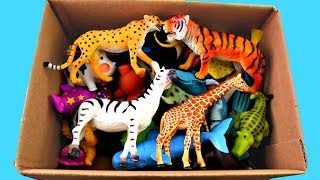 Lots of Zoo Wild AnimalsReal Safari Videos And Schleich Toys For Children [upl. by Colwen]