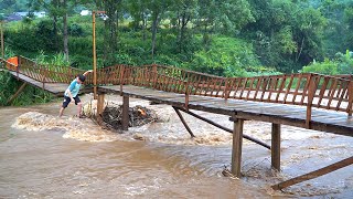 Disaster strikes the KONG family The wooden bridge was swept away by the flood in an instant [upl. by Phineas]