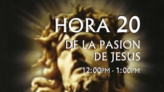 20 de 24 I Horas de la Pasión de Jesús Luisa Piccarreta Divina Voluntad [upl. by Sigfrid]