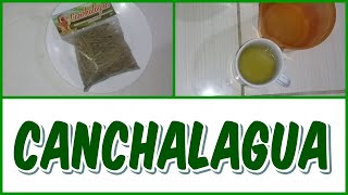 BENEFICIOS DE LA CANCHALAGUA [upl. by Noraa648]