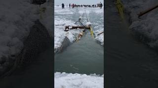 Ice fishing net hoisting process [upl. by Josi331]