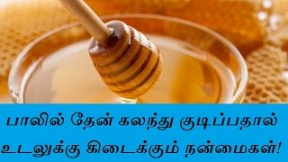 பாலில் தேன் கலந்து குடிப்பதால் உடலுக்கு கிடைக்கும் நன்மைகள்udal nalam  alagu kurippu  Tamil Info [upl. by Aicenav527]