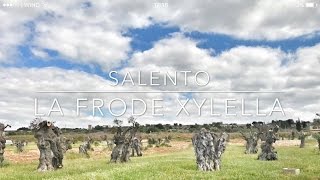 La Frode Xylella e la distruzione degli Ulivi in Salento Intervista a Luigi Russo [upl. by Akenehs457]