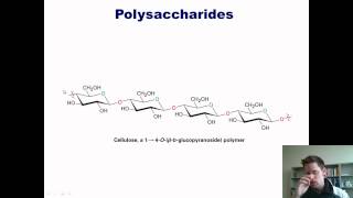 Chapter 22 – Carbohydrate Chemistry Part 3 of 3 [upl. by Aitram440]